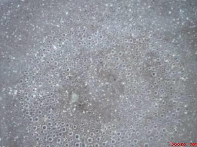 李子怎么晒干才好吃