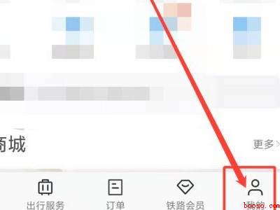 怎么查高铁票（演示机型:Iphone 12）