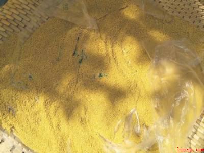 已经生了虫子的小米怎么办