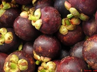 夏天山竹怎么保存