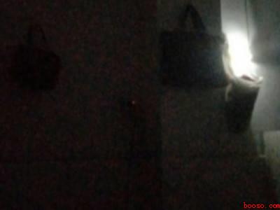 家里隐翅虫怎么找出来