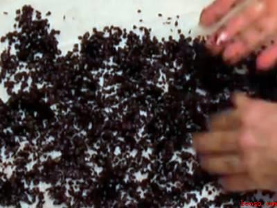 荞麦皮枕头怎么清洗去除螨虫