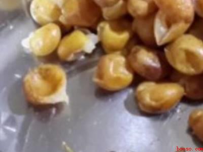 黄皮怎样保存长久