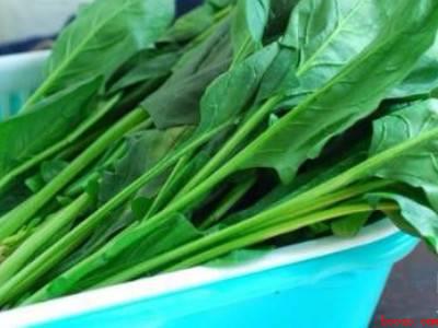 菠菜草酸怎么处理
