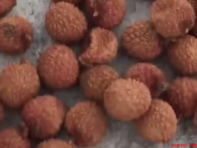 荔枝怎么保存不会坏