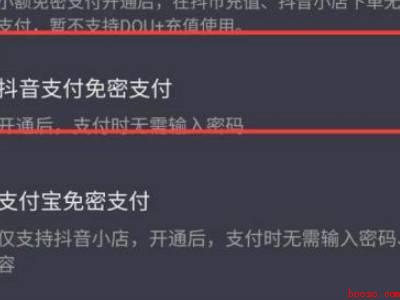 怎样关掉抖音免密支付（演示机型:Iphone 12）