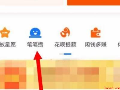 支付宝每笔消费攒钱在哪里看（演示机型:Iphone 12）