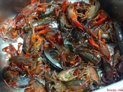 怎样煮龙虾才好吃