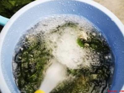 干盐菜怎么腌制方法