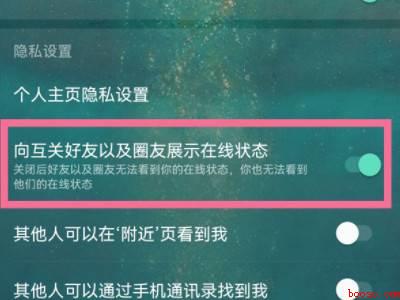 网易云动态绿点是在线吗（演示机型:Iphone 13）