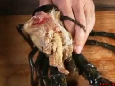 大龙虾怎么处理