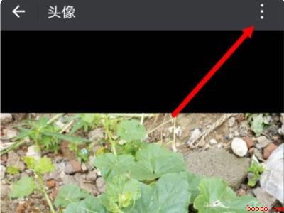 微信头像怎么变成空白（演示机型:Iphone 13）