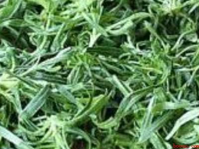 面条菜怎么蒸好吃又简单