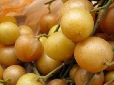 盐黄皮干的制作方法