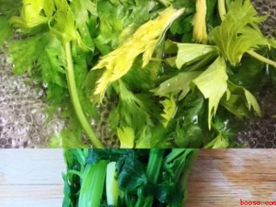 菜饼的面怎么和又软又好吃