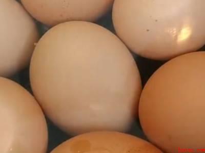 茶蛋的配料及制作方法窍门