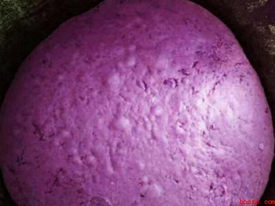 紫薯面怎么和面