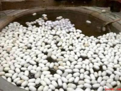 煮蚕茧怎么煮