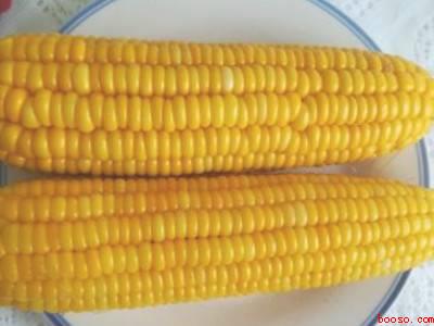 玉米老了怎么煮才能嫩