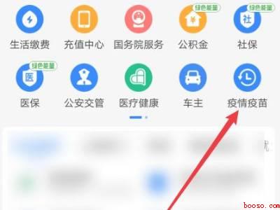 怎么看打疫苗记录（演示机型:Iphone 12）