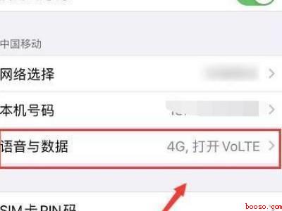 苹果13怎么切换4g和5g