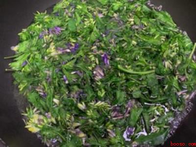 二月兰花怎么吃