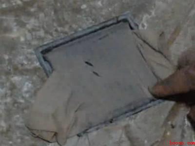 百足虫怎么彻底消灭