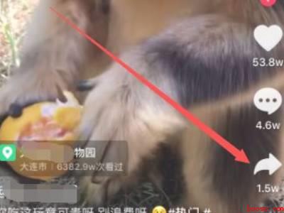 抖音怎么提取商品链接（演示机型:Iphone 12）