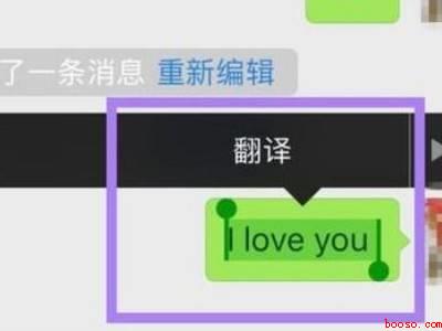 微信聊天如何中英互译(演示机型:Iphone 12)