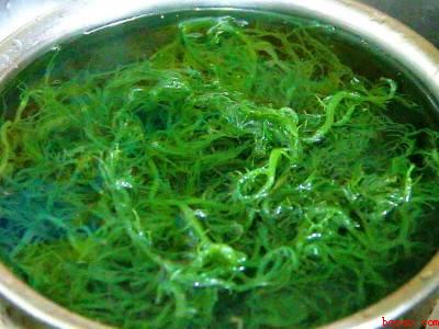龙须菜怎么泡发