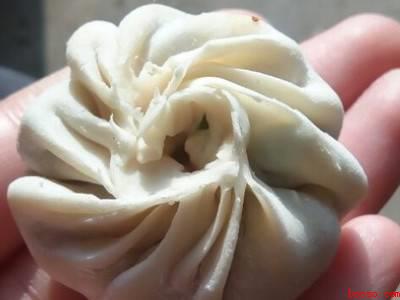 马齿苋做包子馅怎么做好吃