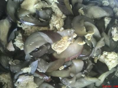 茄子炒蛋怎么炒好吃