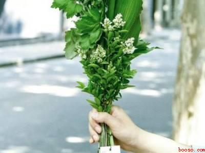 艾蒿端午节怎么用