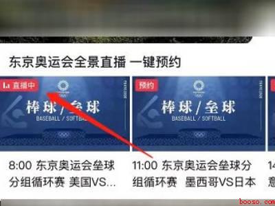 在手机上怎么看奥运会（演示机型:Iphone 12）