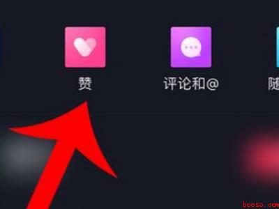 抖音点赞在哪里找（演示机型:Iphone 12）