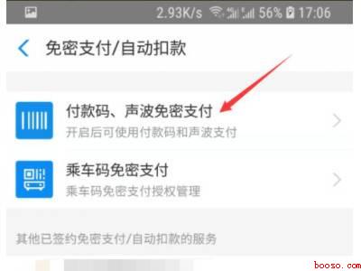 支付宝怎么取消小额免密支付（演示机型:Iphone 12）