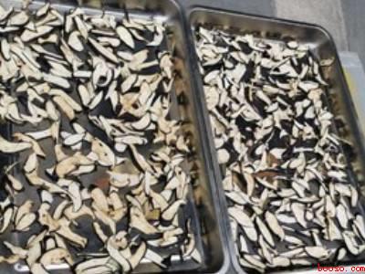 茄子晒干怎么晒法