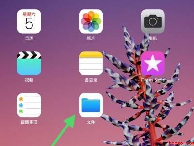 ipad网盘下载的文件在哪里