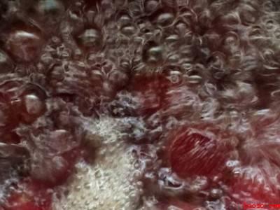 杨梅吃不了怎么处理