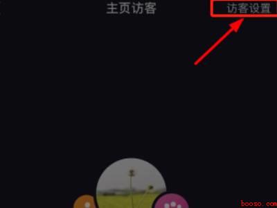 怎么设置抖音主页访客（演示机型:Iphone 12）