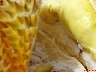 榴莲没熟已经剥出来了怎么办