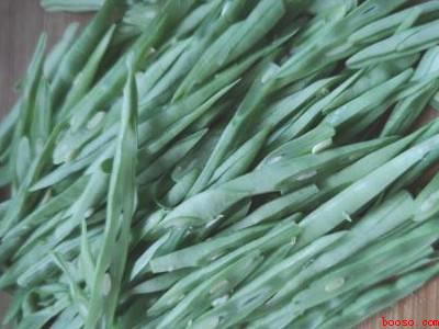 四季梅豆角怎么炒好吃