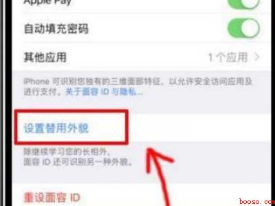 苹果手机只能设置一个面容ID吗