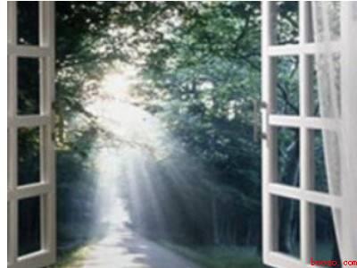 蜜蜂怎么快速消除