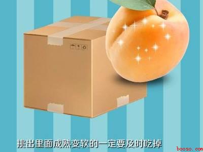 杏怎么保存的时间长