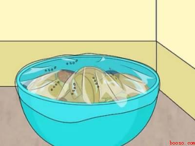 水果生的小飞虫怎样处理