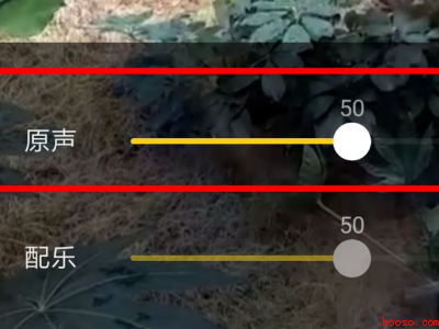 抖音视频怎么关闭原声音（演示机型:Iphone 13）
