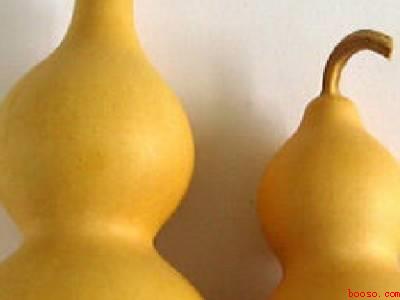 嫩葫芦怎么保存晒干