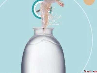 买多了生虾要怎么保存