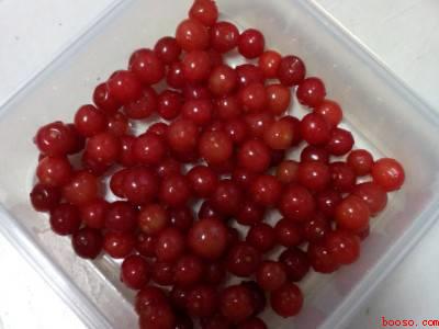 大樱桃怎么保存可以放冰箱里吗